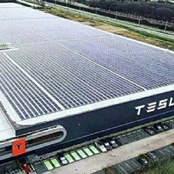 Elon Musk busca a 10 mil personas para trabajar en Austin, TX