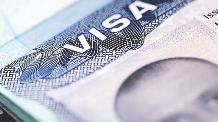 Reinician citas para tramitar visa de trabajo