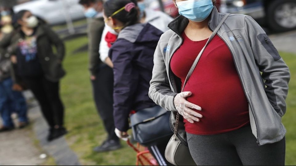 Mujeres ya pueden hace su registro para el esquema de vacunación en embarazadas.