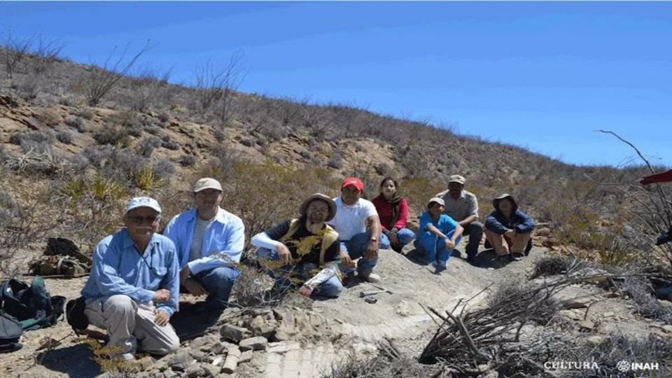 Una nueva especie de dinosaurio fue descubierto en Coahuila