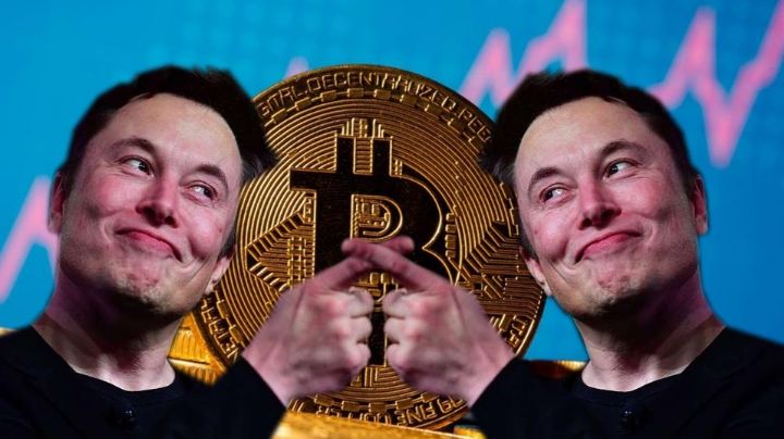¿Clonan a Elon Musk? Le roban más de dos millones de dólares en criptomonedas
