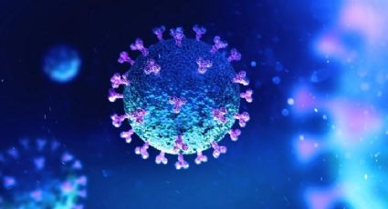 ¡ALERTA! Coronavirus en perros sería una nueva amenaza para los humanos