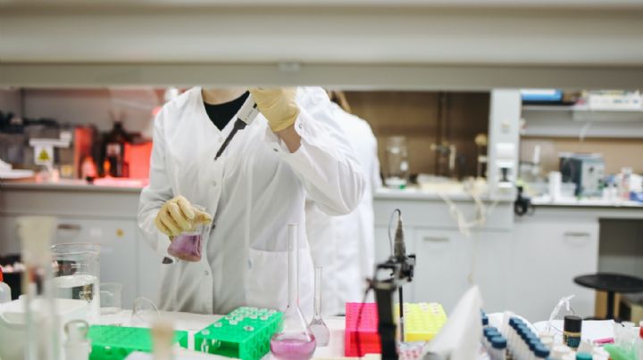 VACUNA PFIZER: Estudian aplicar tercera dosis junto con la del Neumococo en adultos mayores