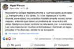Propone grupo de texanos soltar mil cocodrilos al Río Bravo para frenar migración