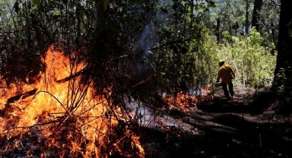 CRISIS FORESTAL: Hay al menos 48 incendios forestales en México