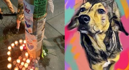 Rodolfo Corazón: Rechazan libertad condicional al presunto asesino del perrito