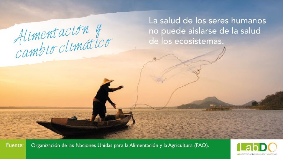 Alimentación y cambio climático