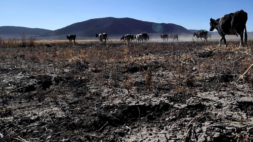 60 grandes presas están por debajo del 25%