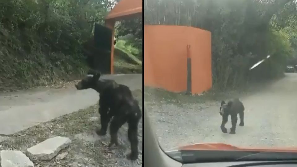 El video que fue grabado por los mismos habitantes de la zona