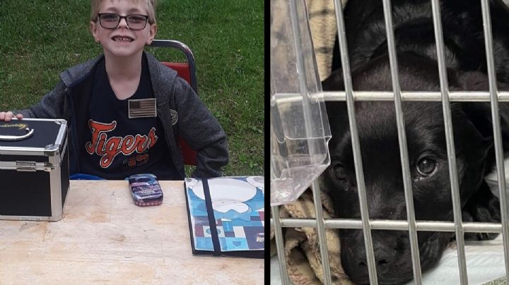 Niño vende su colección de cartas de Pokémon para ayudar a su perrito; compañía le da un regalo
