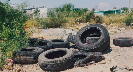 Alertan por riesgo de dengue en Nuevo Laredo; no fumigan