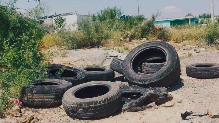 Alertan por riesgo de dengue en Nuevo Laredo; no fumigan