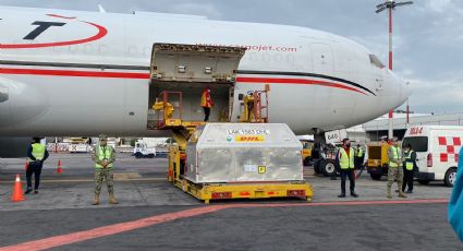 Más de 500 mil vacunas covid Pfizer llegaron al aeropuerto de México