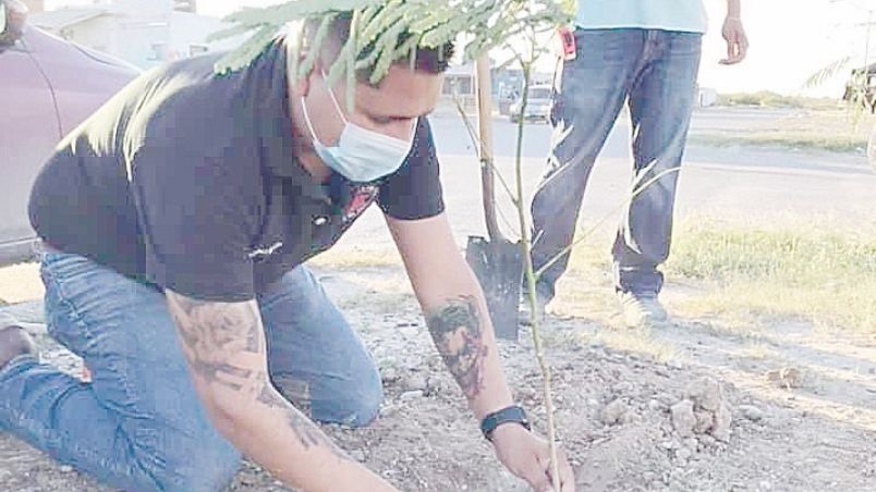 Cientos de ciudadanos decidieron plantar árboles