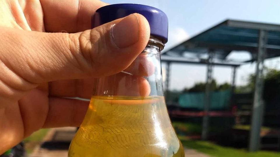 Los inventores mexicanos han logrado fabricar gasolina barata a partir de basura