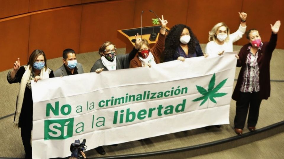 El pasado 19 de noviembre, el Senado de México inició con el proceso para despenalizar la cannabis en todo el país.