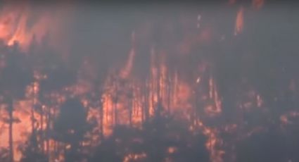 Incendio en California considerado el más grande del año consume más de 36 mil hectáreas