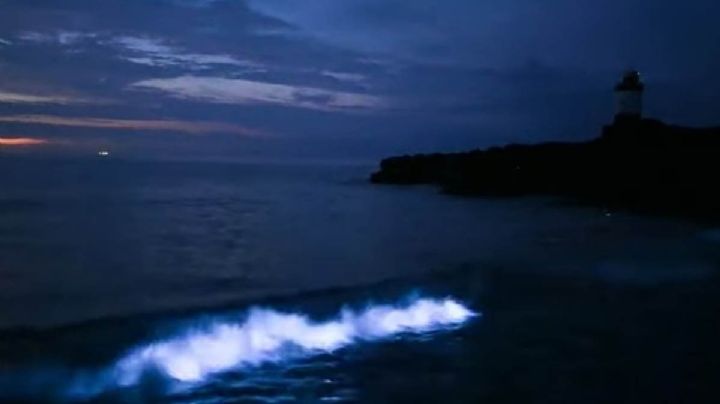 VIDEO: Captan el mar brillar en la oscuridad en una playa de Gales