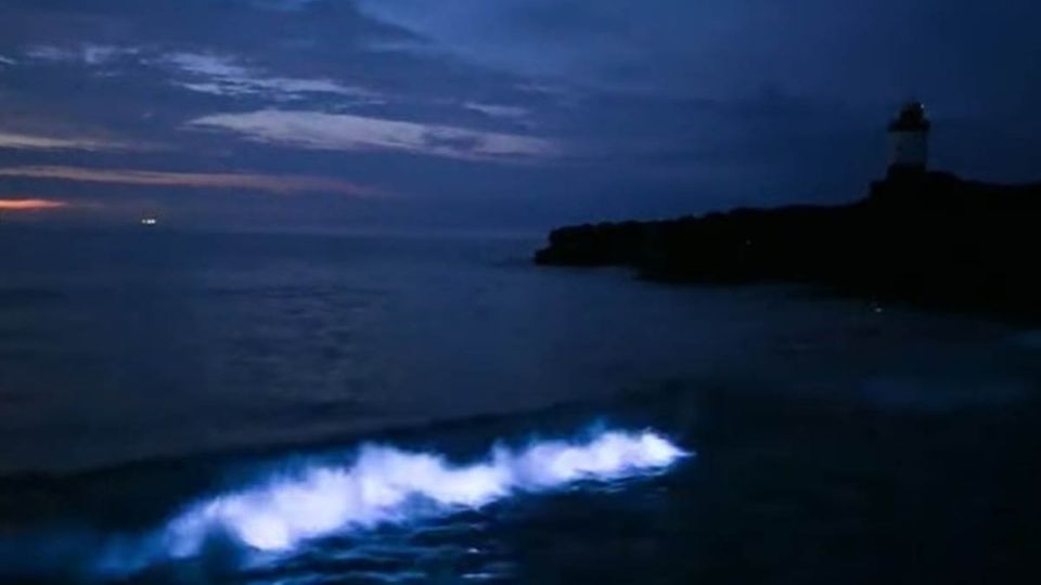 Las increíbles imágenes fueron capturadas en una isla situada al noroeste de la costa de Gales.