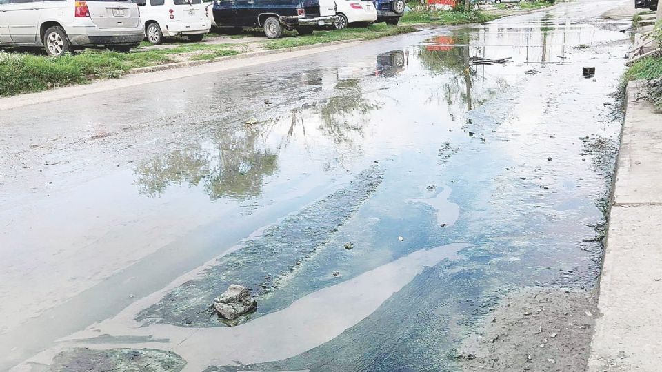 Las calles de la colonia Bertha del Avellano están llenas de aguas negras