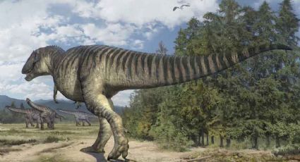 China descubre nuevo dinosaurio; se viraliza por como lo nombraron