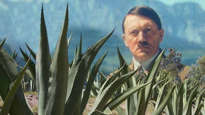 Conoce la reacción de Adolf Hitler cuando conoció el pulqueo