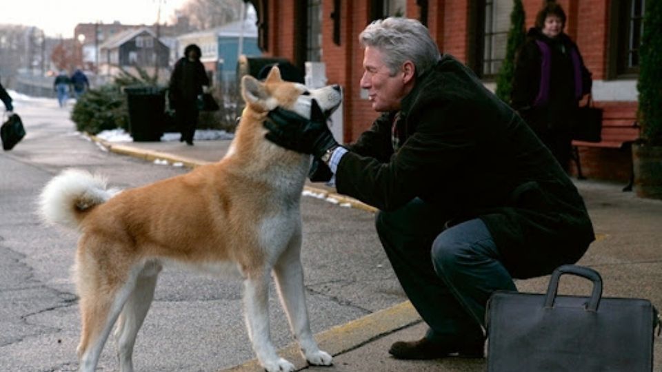 5 películas que recordarán lo que puede hacer un perro por nosotros los humanos.