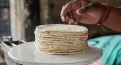 Baja la venta de tortillas de maíz