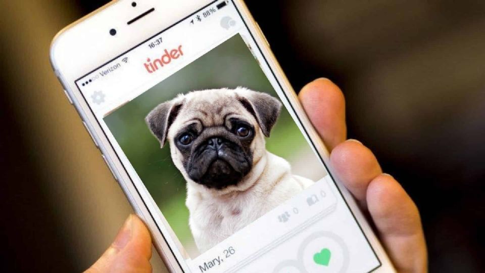 Un refugio de animales busca promover la adopción a través de Tinder.