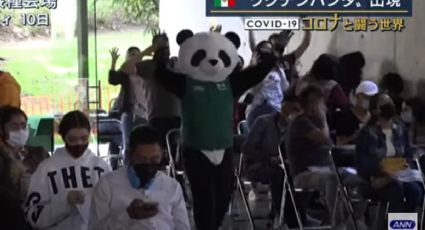 Pandemio el oso de la vacunación Covid en CDMX es famoso en ¡Japón!