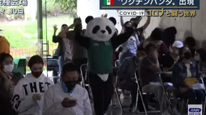 Pandemio el oso de la vacunación Covid en CDMX es famoso en ¡Japón!