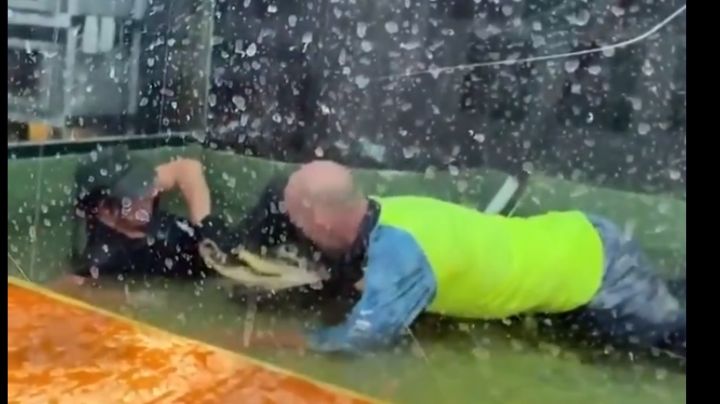 VIDEO: Un héroe sin capa salvó de un ataque de cocodrilo a la entrenadora