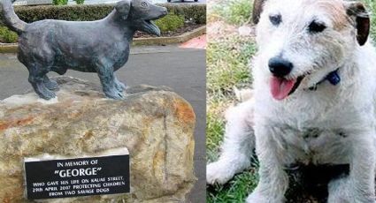 Día del perro: La estatua de George, perrito que salvo niños de ataque de pitbulls