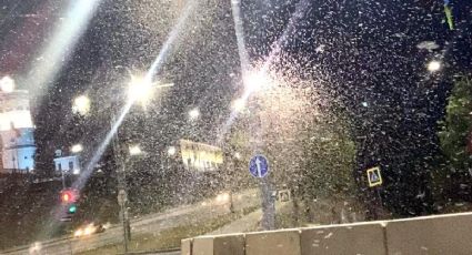 Pensó que estaba nevando, pero era un enjambre de moscas