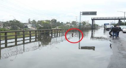 VIDEO: Surge "hombre socavón" se mete a pozo por unas monedas