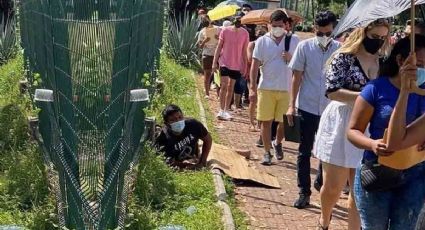 Joven madruga en fila para vacunarse: se queda dormido FOTOS