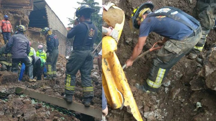 Perritos quedan sepultados tras deslizamiento de tierra sobre albergue