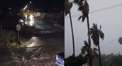 VIDEOS: Huracán Olaf toca tierra en Baja California Sur