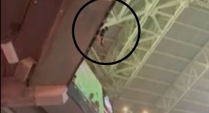 VIDEO: ¡Gato con suerte! Fanáticos atrapan al animal que cayó del techo de un estadio