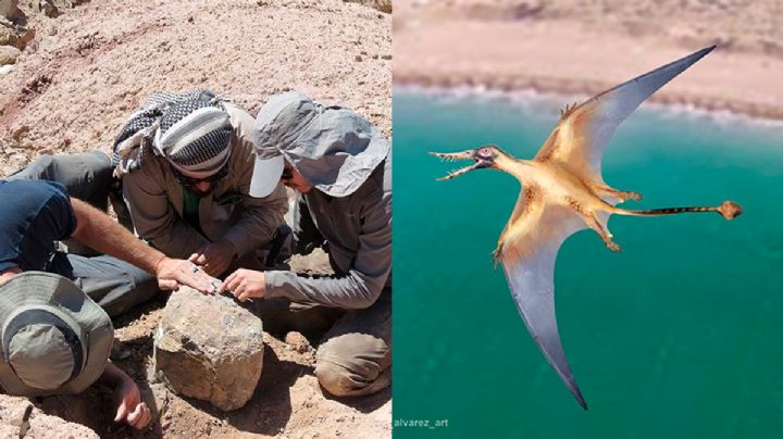 FOTOS: Científicos identifican restos de 'dragón volador' del periodo Jurásico