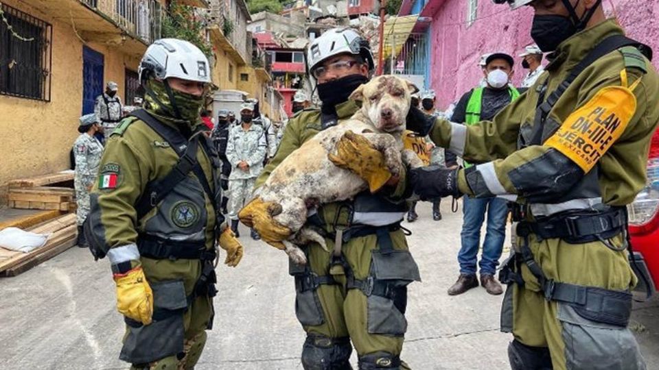 En medio de la desolación que invade la zona del desastre en el cerro del Chiquihuite, una esperanza nació.