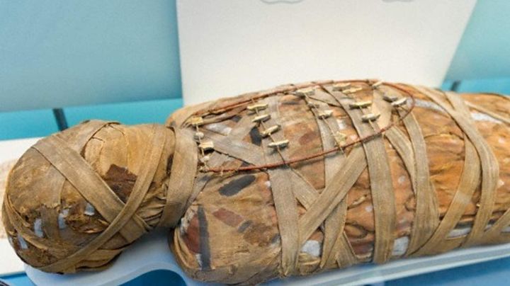 ¡Mantenido! Congeló el cuerpo de su madre para seguir cobrando su pensión