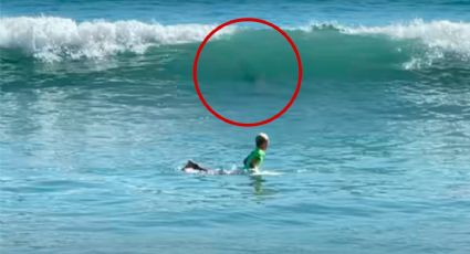 VIDEO: Niño se salva de ataque de tiburón en competencia de surf en Florida