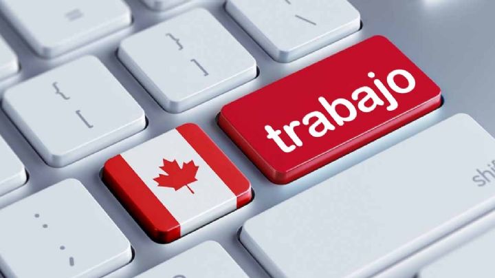 Mudate a Canadá y gana más de 37 mil pesos al mes ¡Es tu oportunidad!