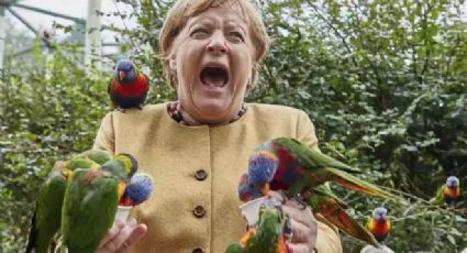 Loro picotea a Angela Merkel, porque no le gustó su comida