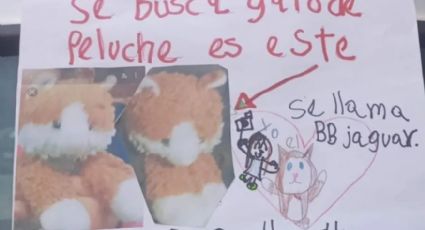 ¿Lo has visto? Niña realiza cartel para encontrar su peluche; lo perdió en la CDMX