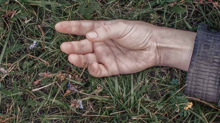 Celos que matan: Hombre pellizca a su prima y es golpeado por el novio; muere minutos después