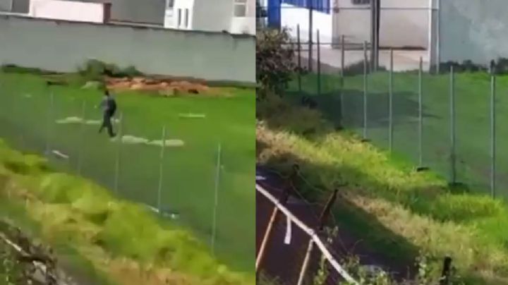 VIDEO MALTRATO ANIMAL: Hombre es buscado por dispararle a perrito con una escopeta