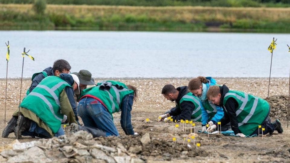 Los restos del ictiosauri “dragón marino” fueron retirados del lugar para su estudio.