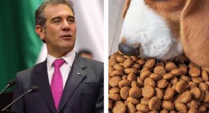 Hasta las croquetas de las mascotas paga el INE a sus 11 consejeros